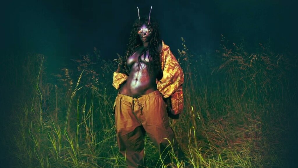 SZA - BMF