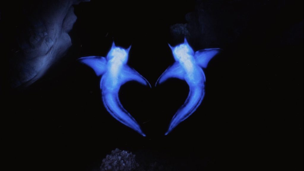 Danny L Harle - Two Hearts (ft. Dua Lipa)